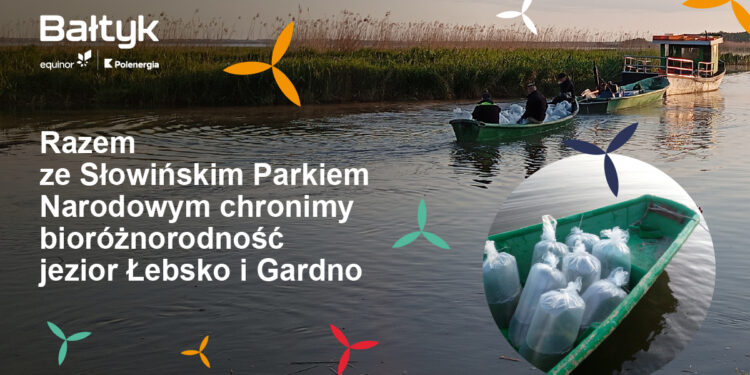 Bałtyk 2 - Equinor and Polenergia support the biodiversity of lakes in the Słowiński National Park