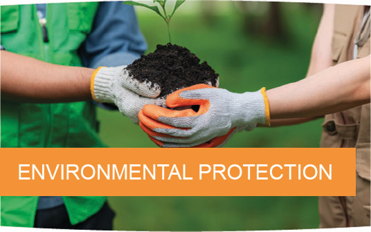 Environmental protection, biodiversity, and marine conservation